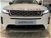 Land Rover Range Rover Evoque 2.0D I4-L.Flw 150 CV AWD Auto del 2020 usata a Livorno (7)