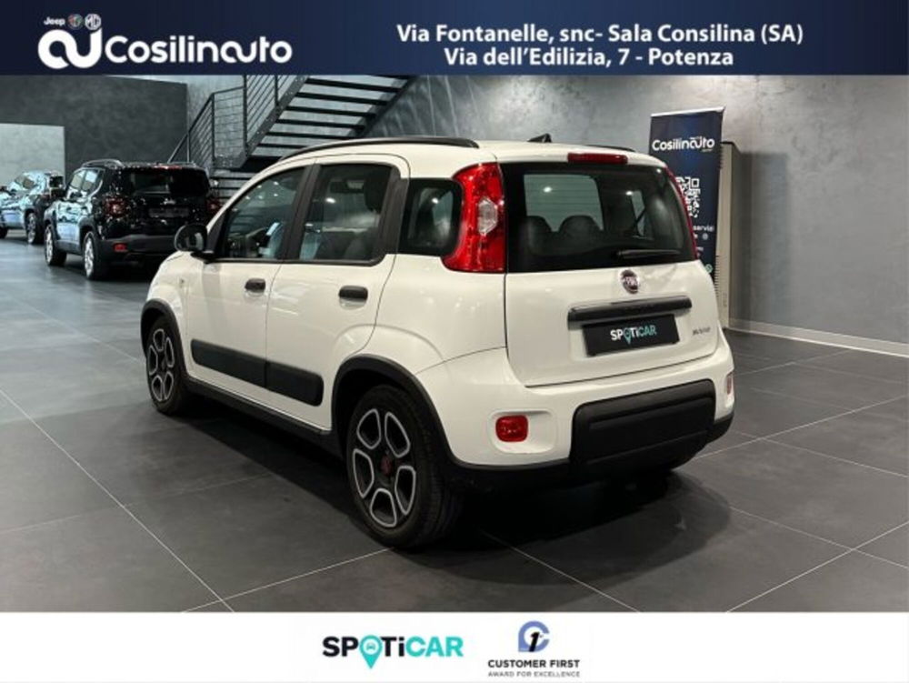 Fiat Panda usata a Salerno (7)