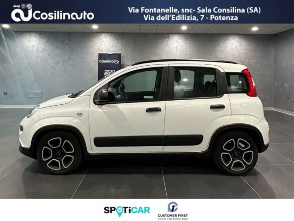 Fiat Panda usata a Salerno (8)