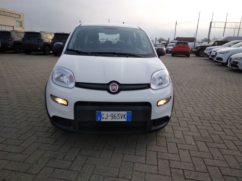 Fiat Panda usata a Alessandria (2)