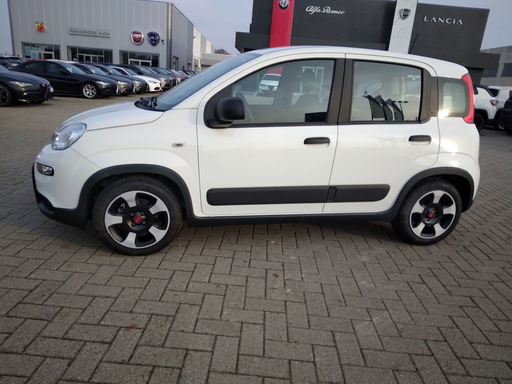 Fiat Panda usata a Alessandria (9)