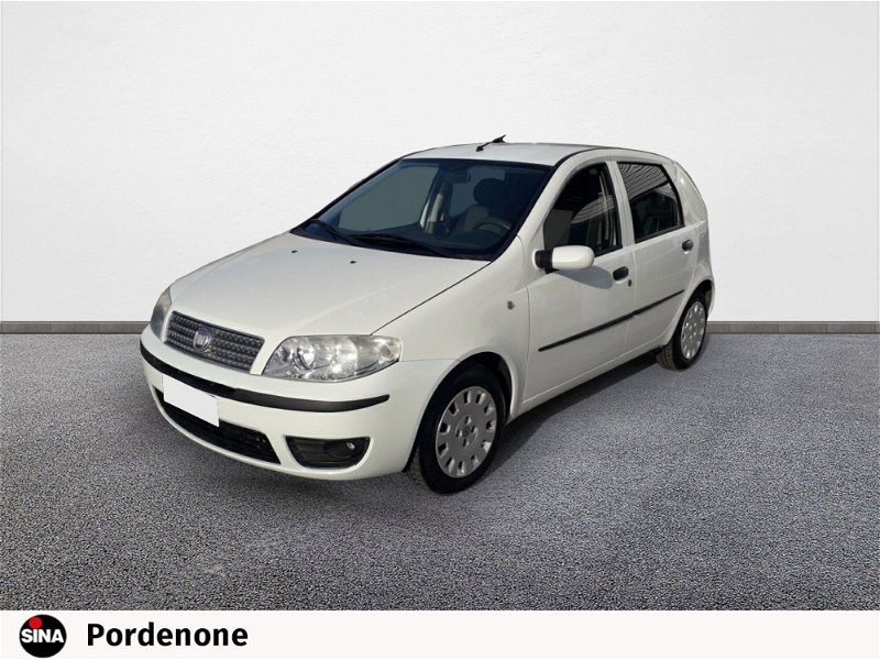 Fiat Punto 1.3 MJT 16V 5 porte 4p.ti Active Van  del 2009 usata a Pordenone