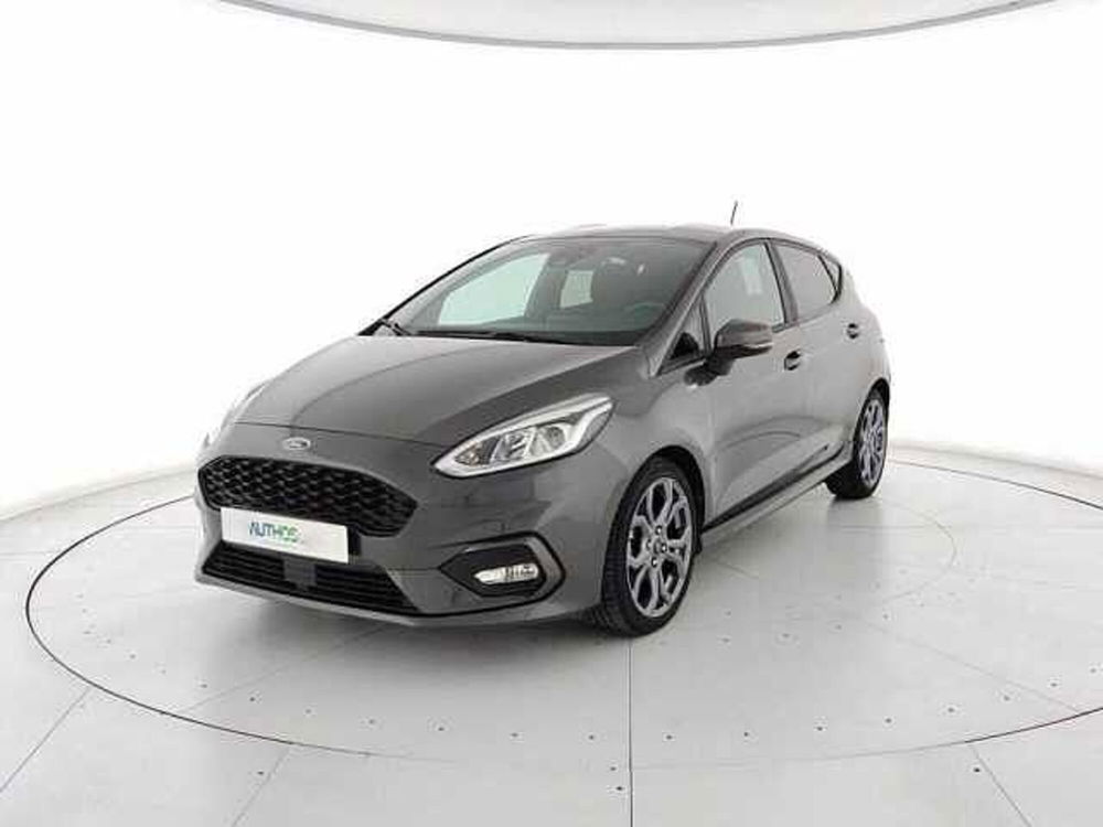 Ford Fiesta usata a Torino