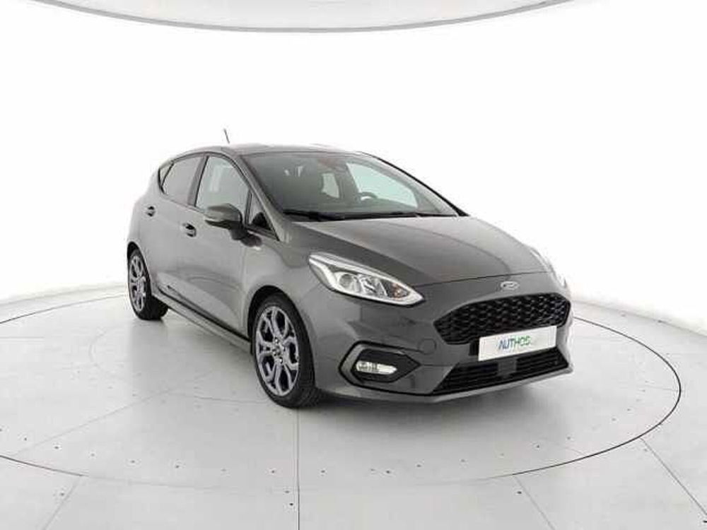 Ford Fiesta usata a Torino (2)