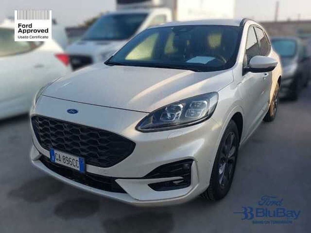 Ford Kuga usata a Livorno