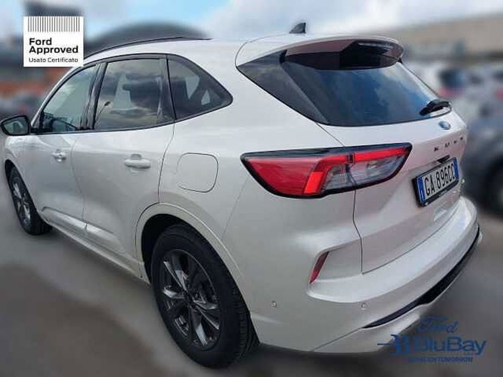 Ford Kuga usata a Livorno (10)