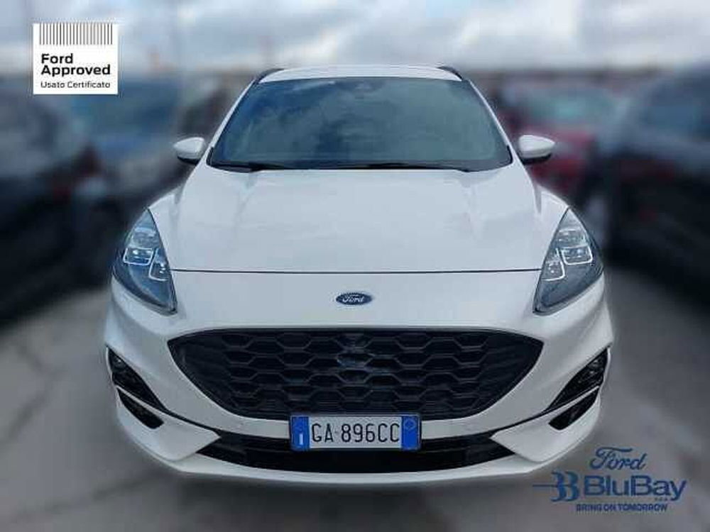 Ford Kuga usata a Livorno (2)