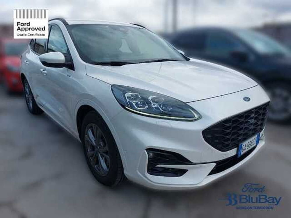 Ford Kuga usata a Livorno (3)