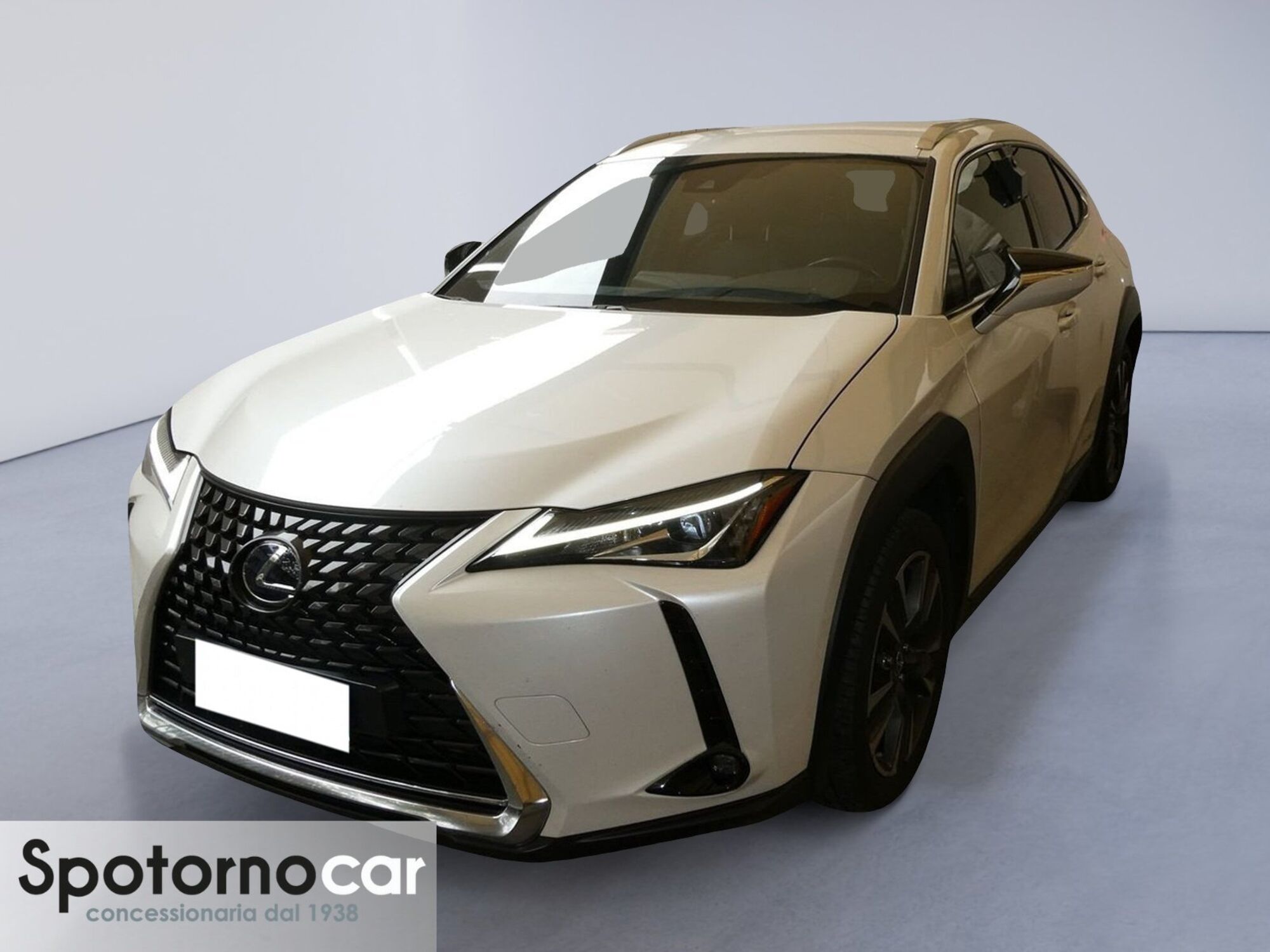 Lexus UX Hybrid 4WD Executive  del 2019 usata a Sesto San Giovanni