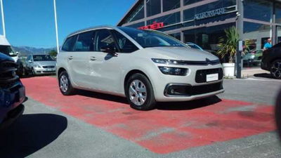 Citroen Grand C4 SpaceTourer Grand  Space  BlueHDi 130 S&amp;S EAT8 Feel  del 2021 usata a Savona