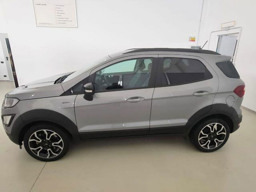 Ford EcoSport usata a Cuneo (4)