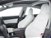 Tesla Model 3 Model 3 Long Range Dual Motor AWD  del 2019 usata a Viterbo (9)