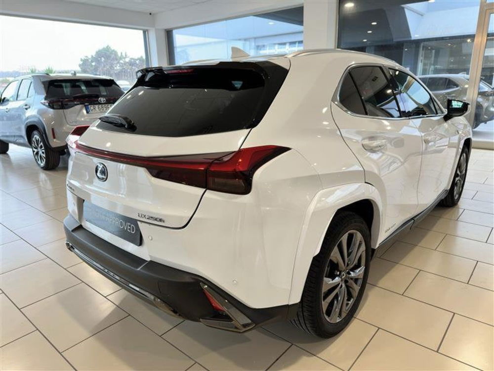 Lexus UX usata a Siracusa (6)