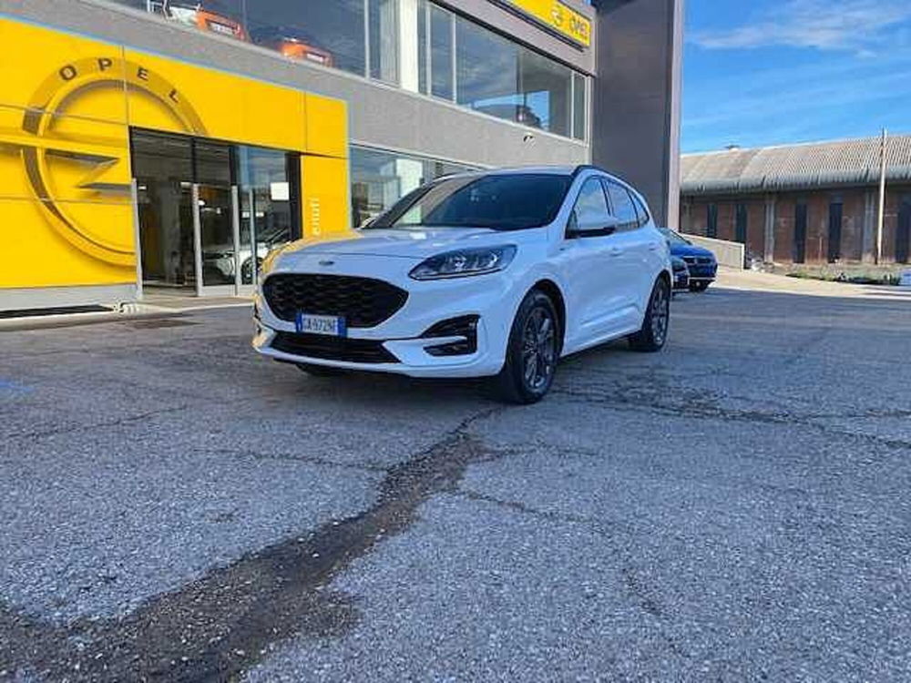 Ford Kuga usata a Pesaro-Urbino