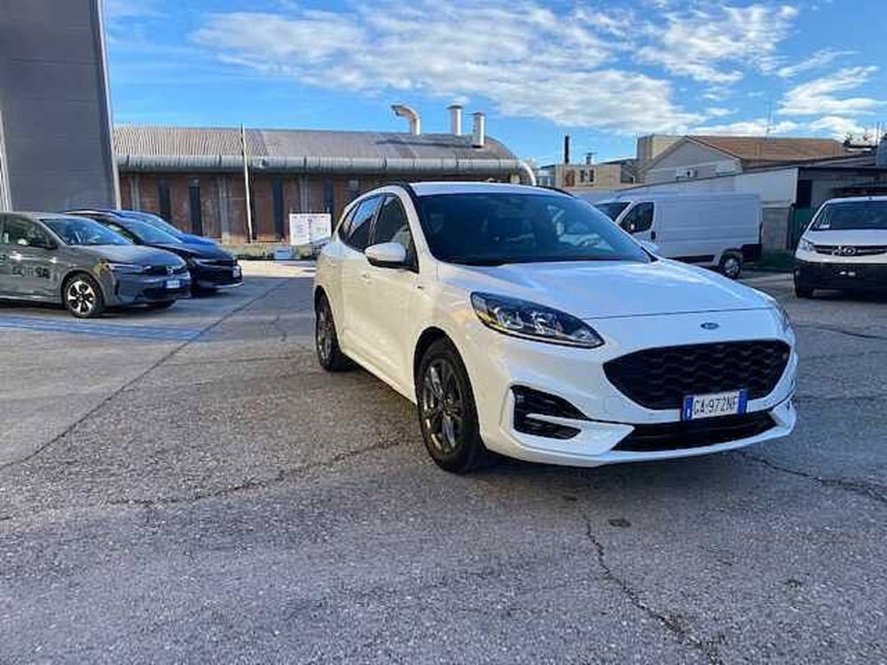 Ford Kuga usata a Pesaro-Urbino (2)