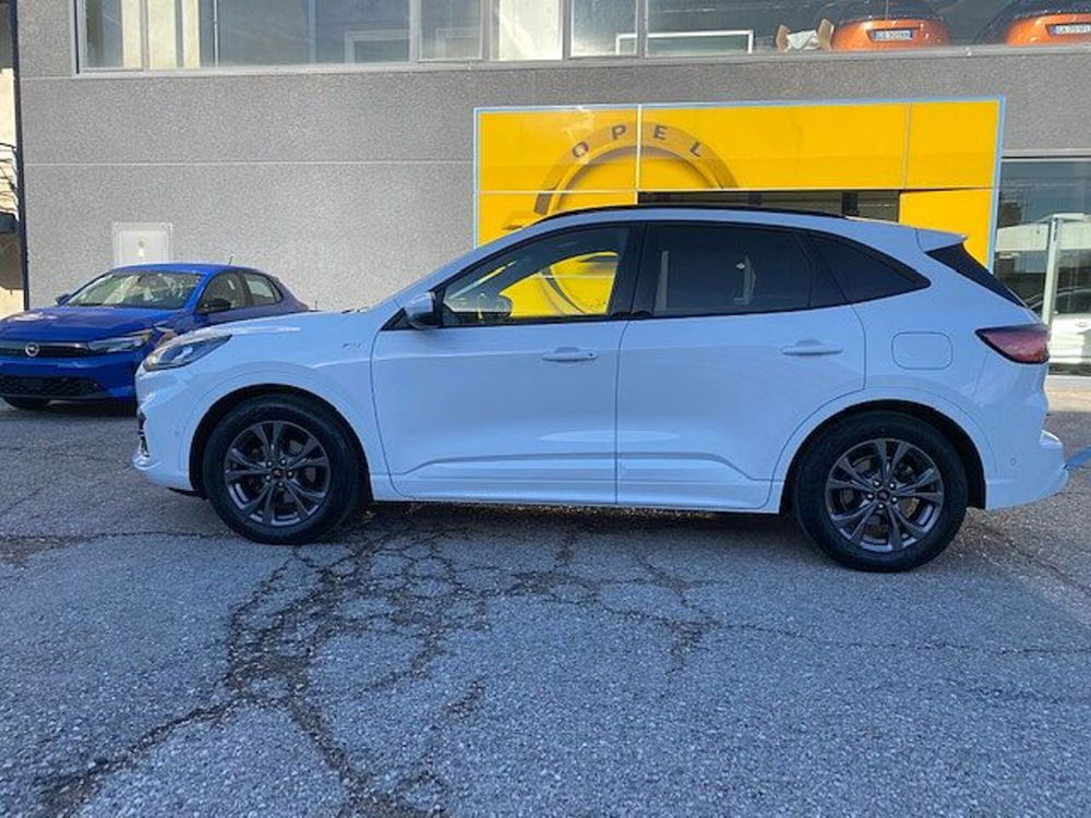 Ford Kuga usata a Pesaro-Urbino (4)