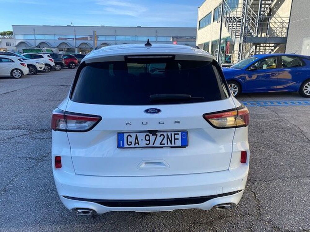 Ford Kuga usata a Pesaro-Urbino (6)