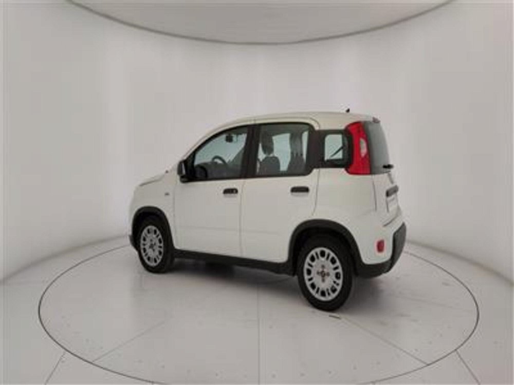 Fiat Panda 1.0 FireFly S&S Hybrid  del 2023 usata a Bari (4)
