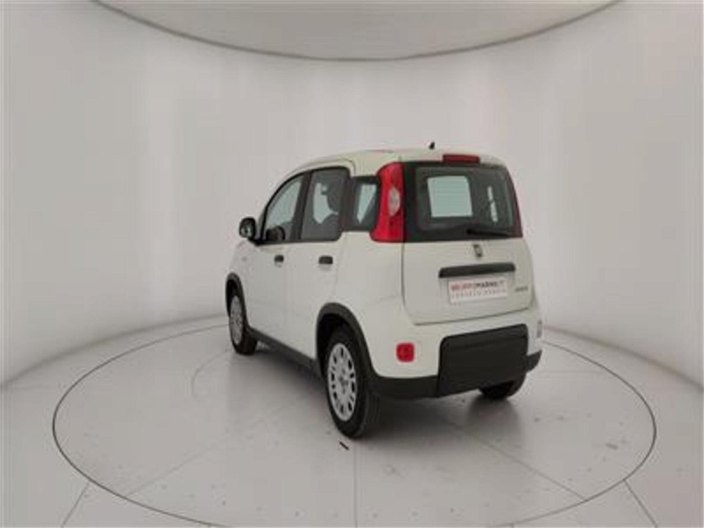 Fiat Panda 1.0 FireFly S&S Hybrid  del 2023 usata a Bari (5)