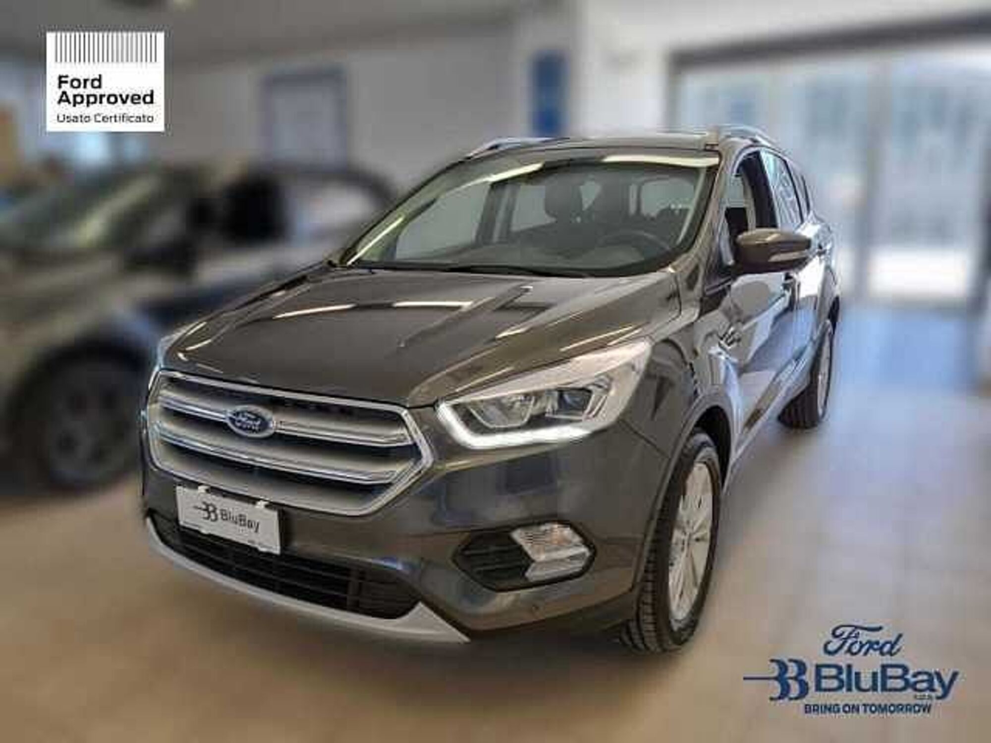 Ford Kuga 1.5 TDCI 120 CV S&amp;S 2WD Powershift Edition  del 2019 usata a Livorno