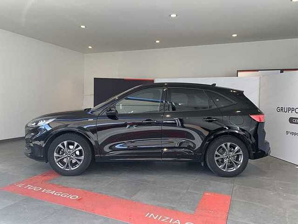 Ford Kuga usata a Cosenza (3)