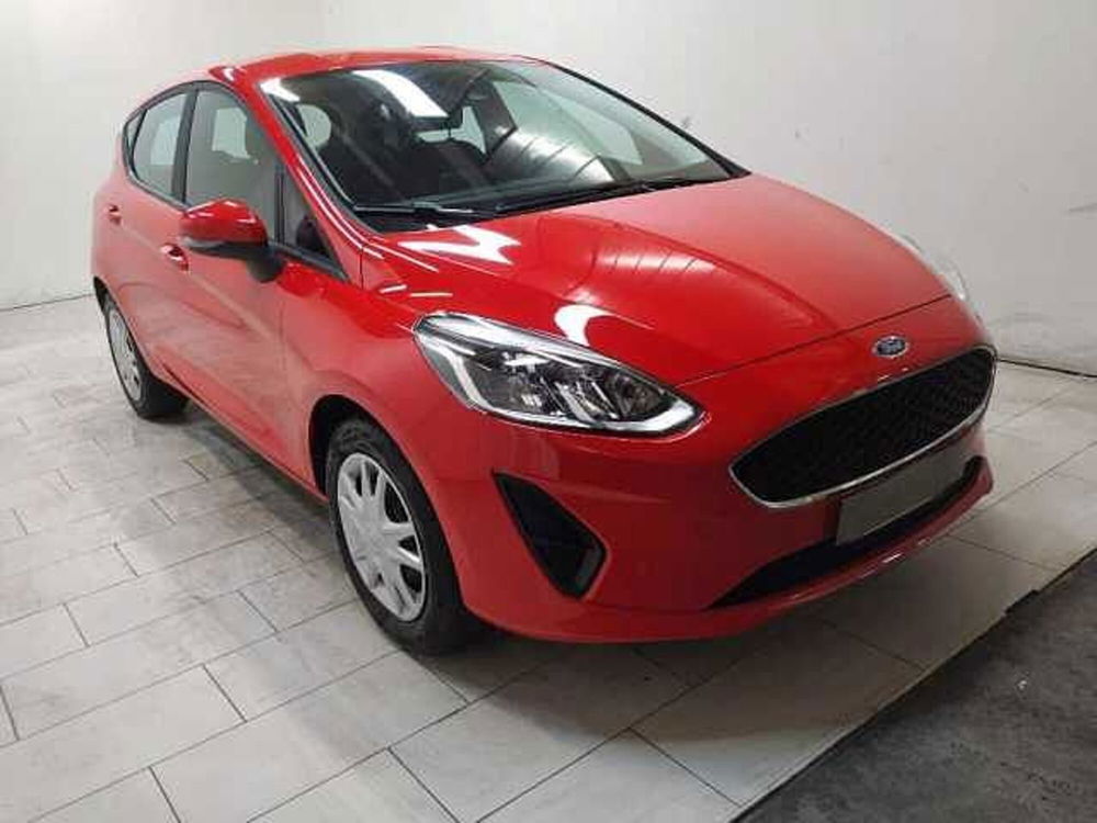 Ford Fiesta usata a Cuneo (3)