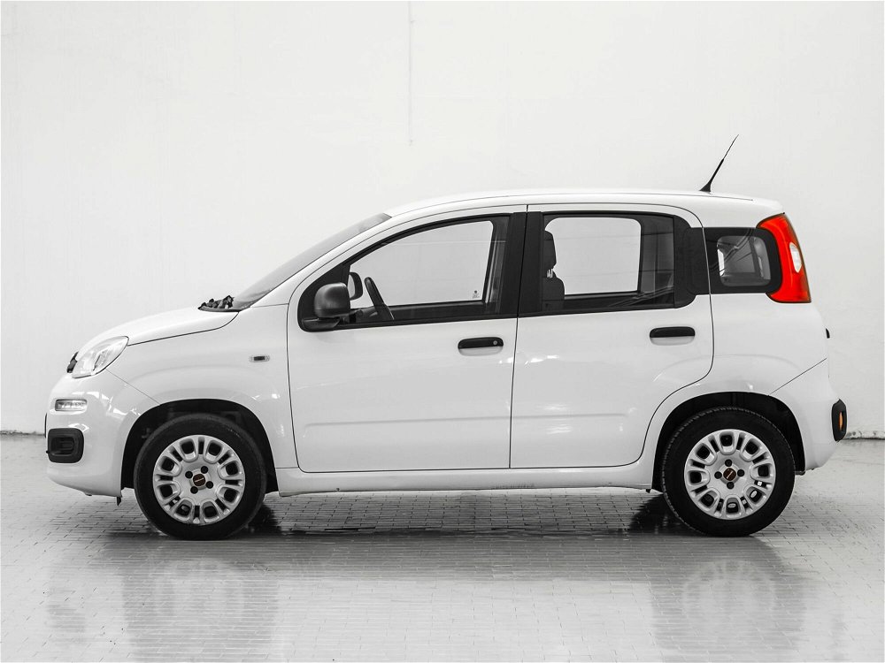 Fiat Panda 1.2 Easy  del 2019 usata a Prato (2)