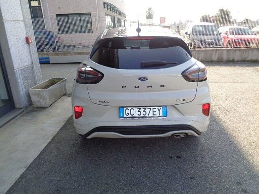 Ford Puma usata a Cuneo (6)