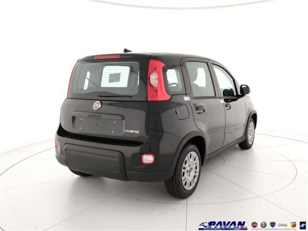 Fiat Panda 1.0 FireFly S&S Hybrid  nuova a Piove di Sacco (3)