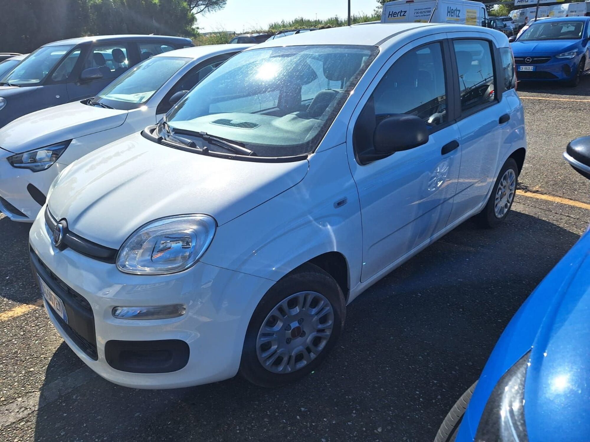 Fiat Panda 1.0 firefly hybrid s&amp;s 70cv 5p.ti del 2022 usata a Firenze