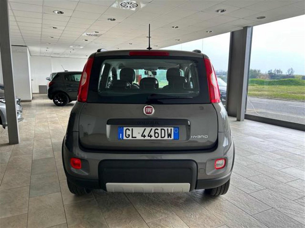 Fiat Panda 1.0 FireFly S&S Hybrid City Life  del 2022 usata a Vercelli (5)