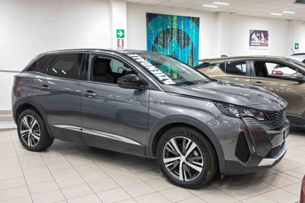 Peugeot 3008 usata a Torino (2)