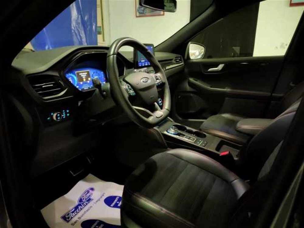Ford Kuga 2.0 EcoBlue 190 CV aut. AWD ST-Line X  del 2020 usata a San Bonifacio (2)