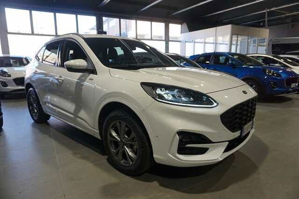 Ford Kuga usata a Bologna (3)