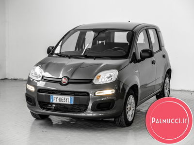 Fiat Panda 1.2 Easy  del 2019 usata a Prato