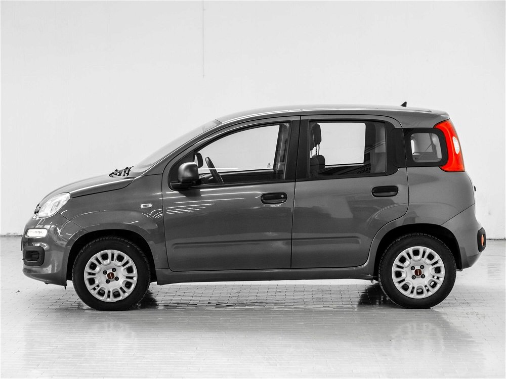 Fiat Panda 1.2 Easy  del 2019 usata a Prato (2)