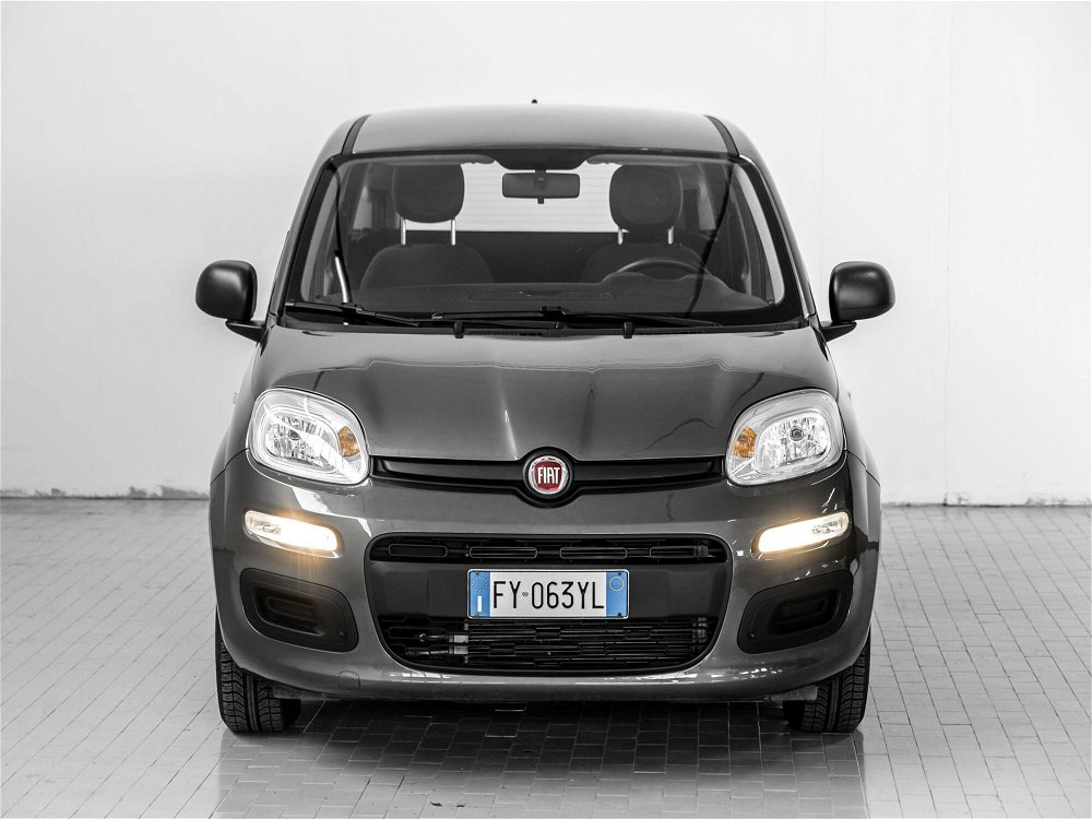 Fiat Panda 1.2 Easy  del 2019 usata a Prato (4)