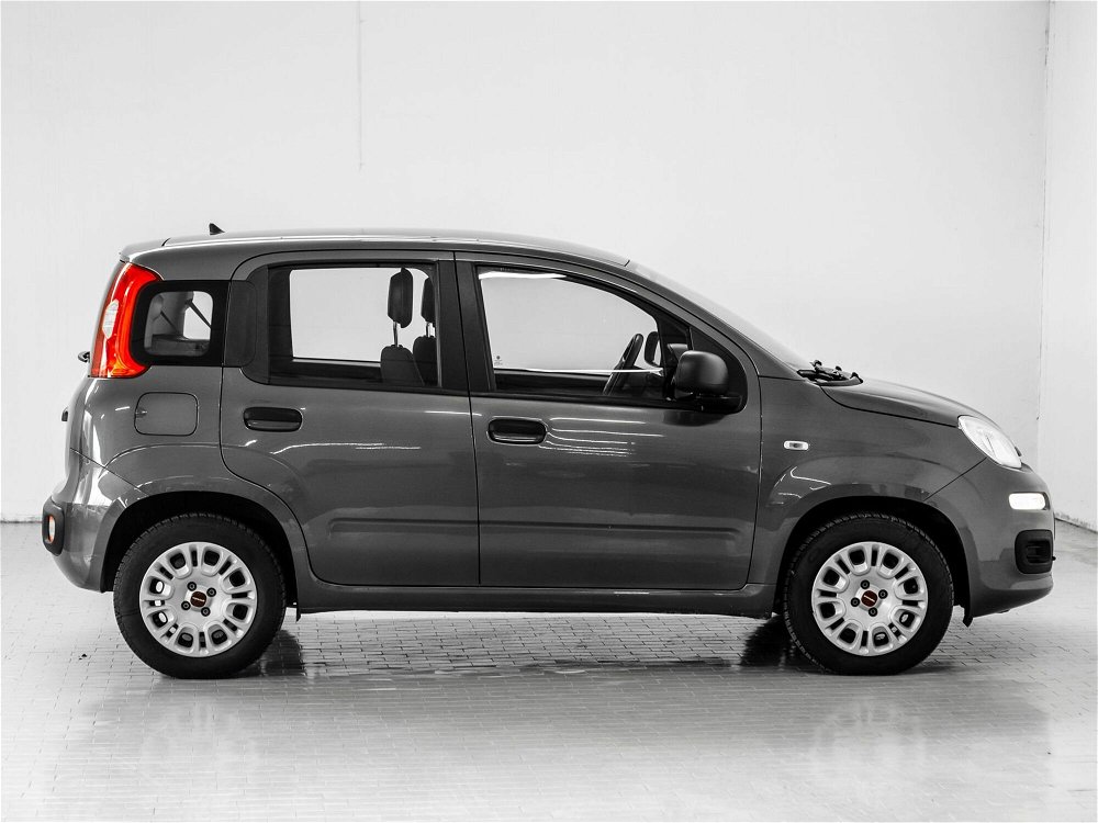 Fiat Panda 1.2 Easy  del 2019 usata a Prato (5)