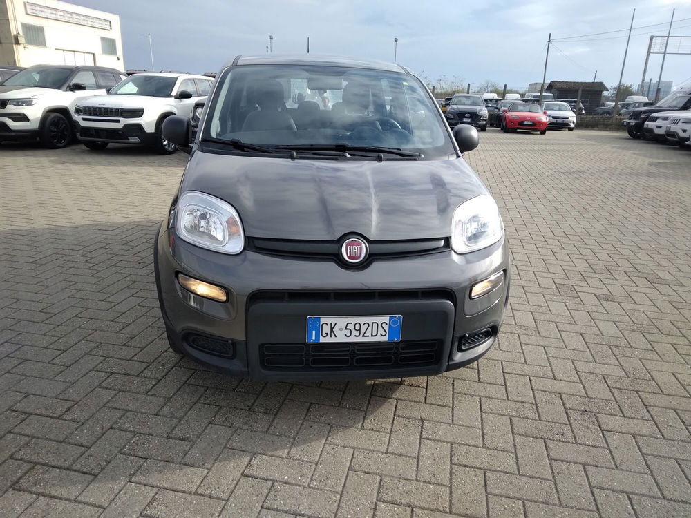 Fiat Panda usata a Alessandria (2)