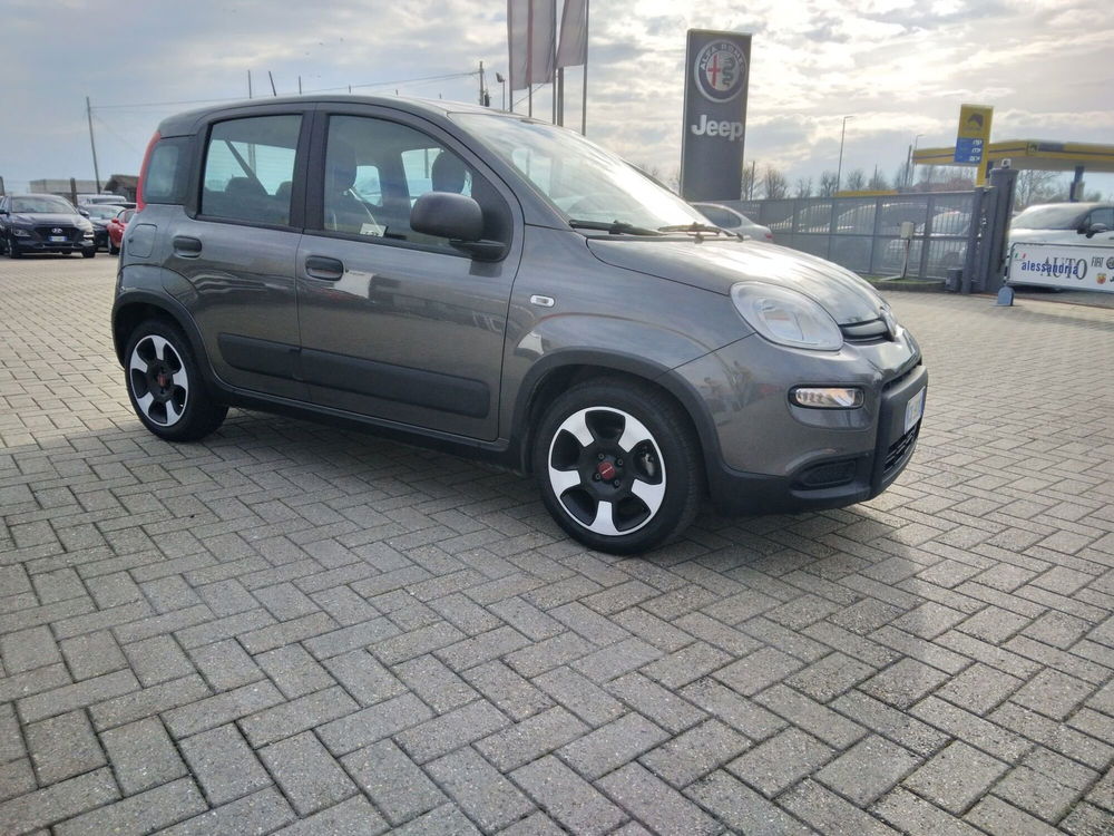 Fiat Panda 1.0 FireFly S&S Hybrid City Cross  del 2022 usata a Alessandria (3)