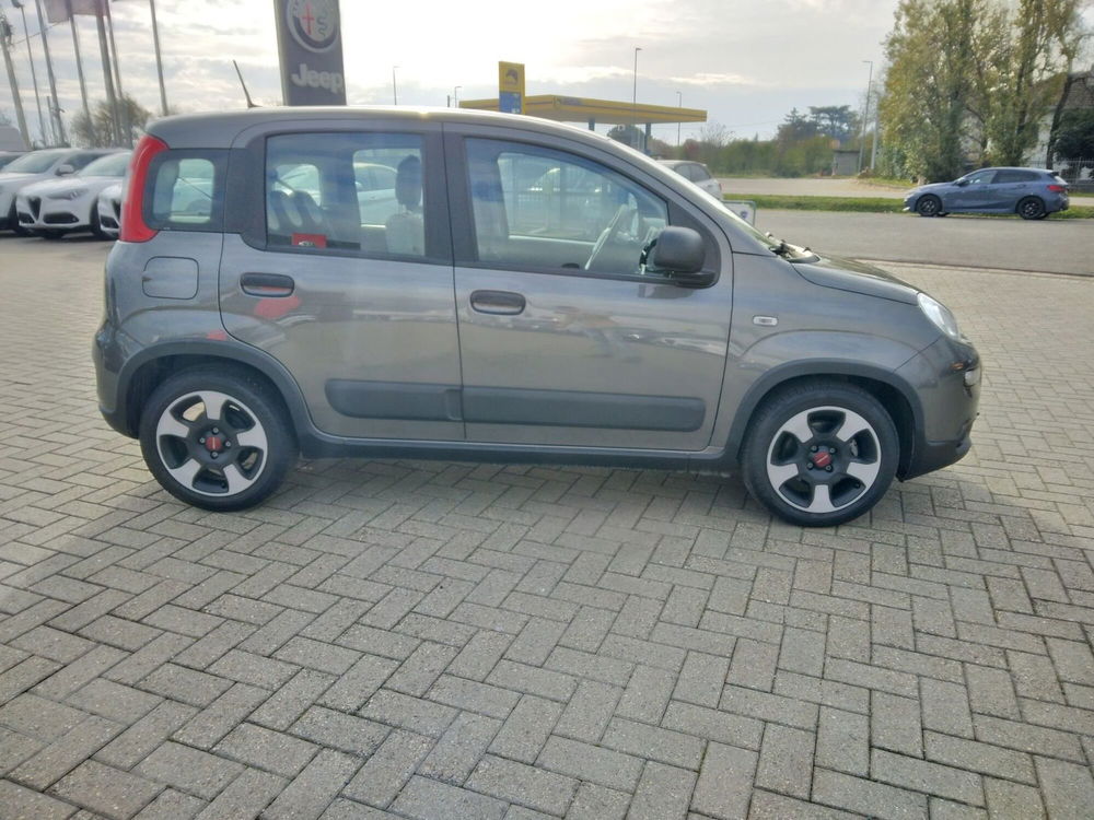 Fiat Panda usata a Alessandria (4)