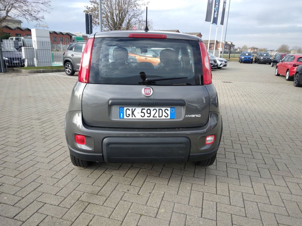 Fiat Panda usata a Alessandria (6)