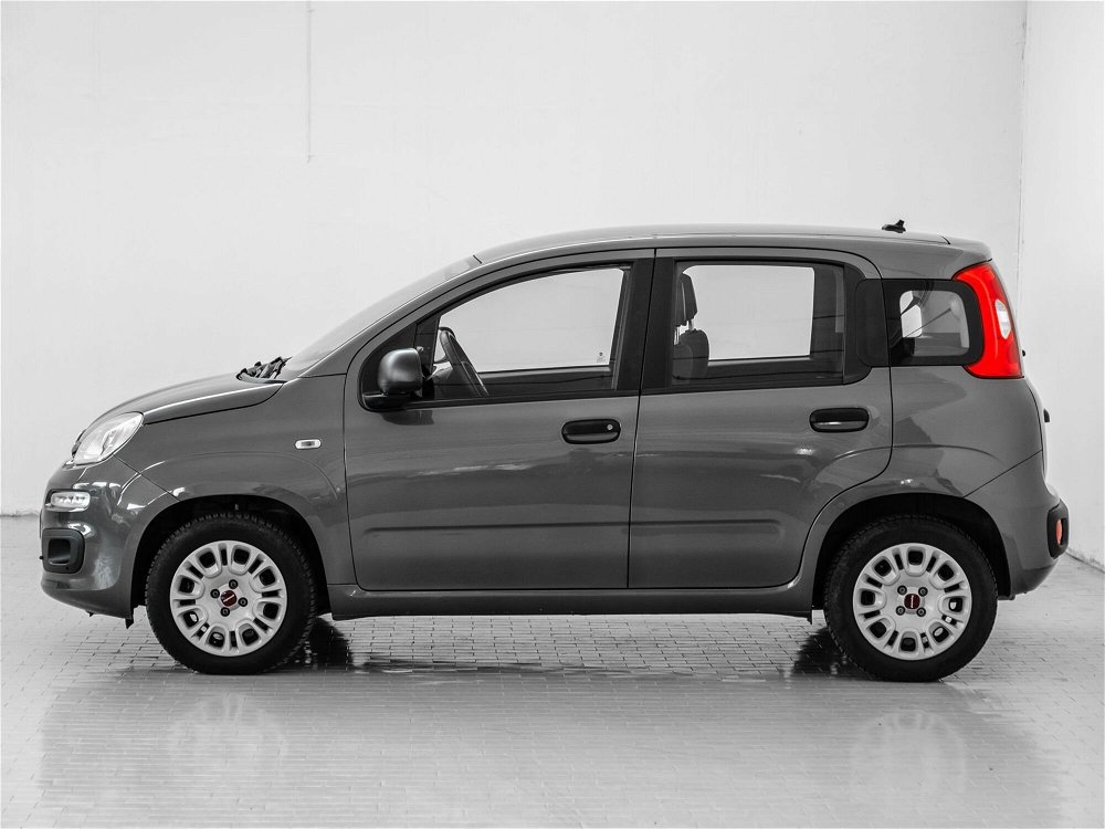 Fiat Panda 1.2 Easy  del 2020 usata a Prato (2)