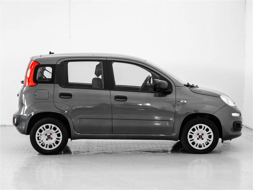 Fiat Panda 1.2 Easy  del 2020 usata a Prato (5)