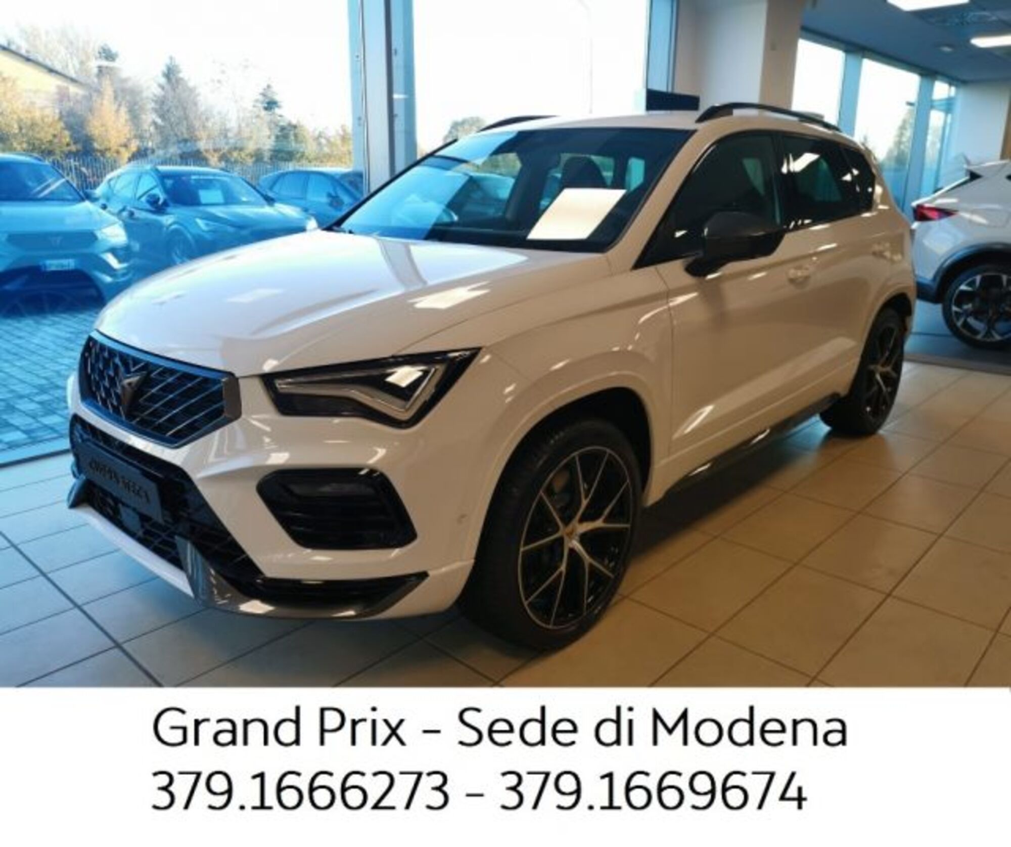 Cupra Ateca Ateca 2.0 TSI DSG 4Drive  nuova a Castenaso