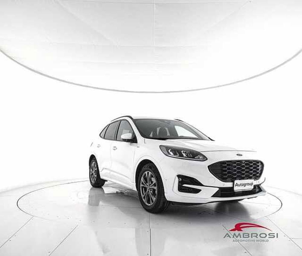 Ford Kuga usata a Viterbo (2)