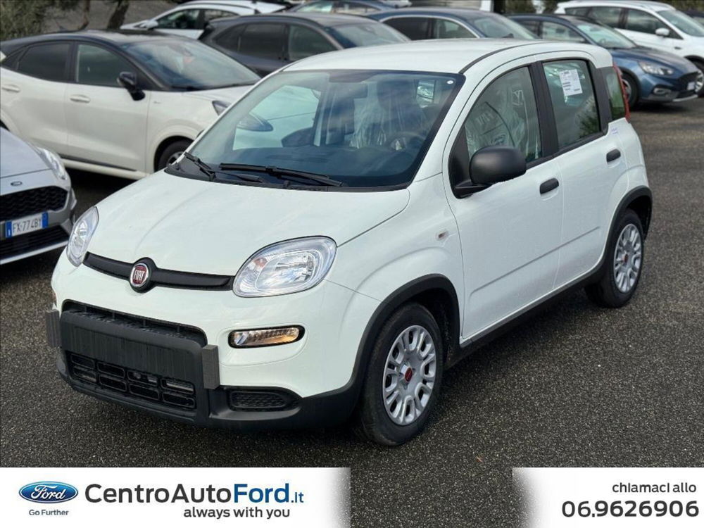 Fiat Panda 1.0 FireFly S&S Hybrid  nuova a Albano Laziale (2)