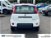 Fiat Panda 1.0 FireFly S&S Hybrid  nuova a Albano Laziale (6)