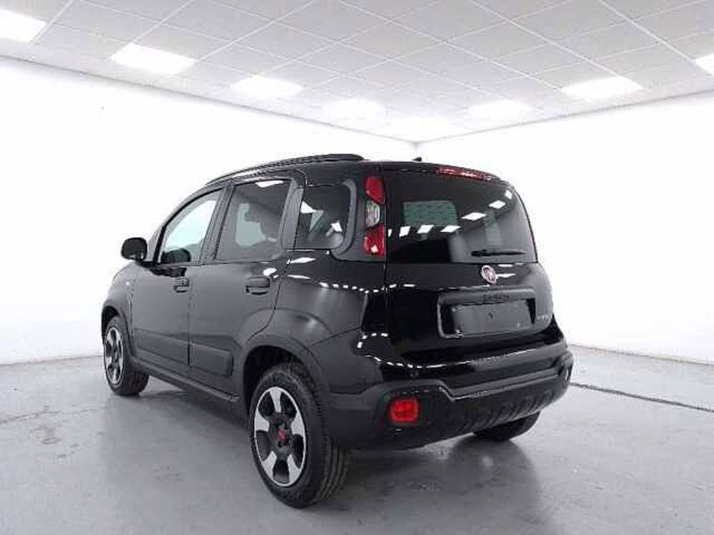 Fiat Panda nuova a Cuneo (6)