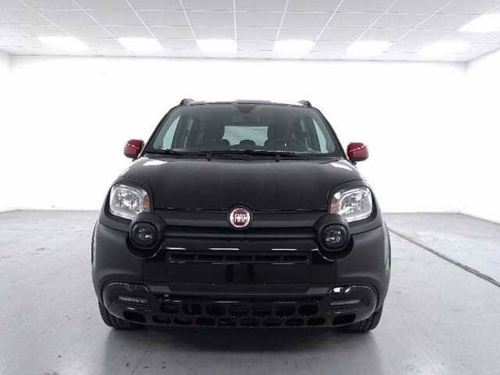 Fiat Panda nuova a Cuneo (2)